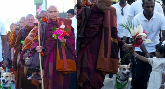 Global Walk for Peace Reaches Day Six